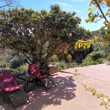 Location Maison Provencale, Vacances Provence, Var Besse-sur-Issole Exterior photo