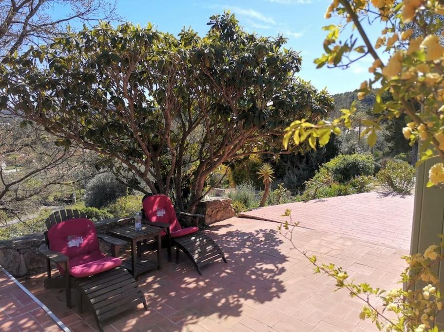 Location Maison Provencale, Provence,